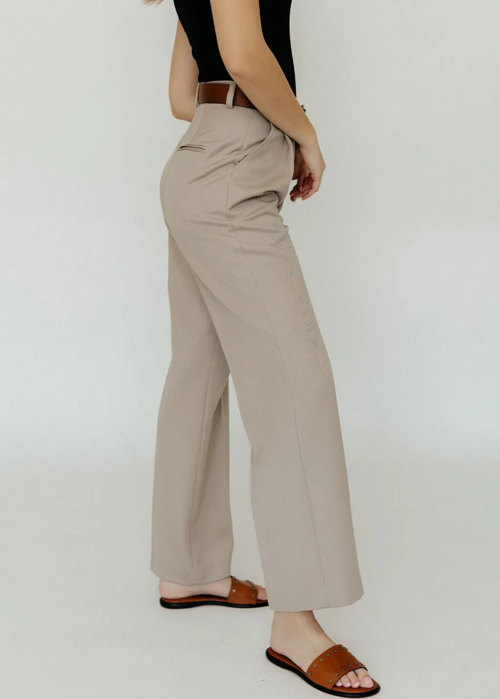 Anine Bing Carrie Pant in Taupe